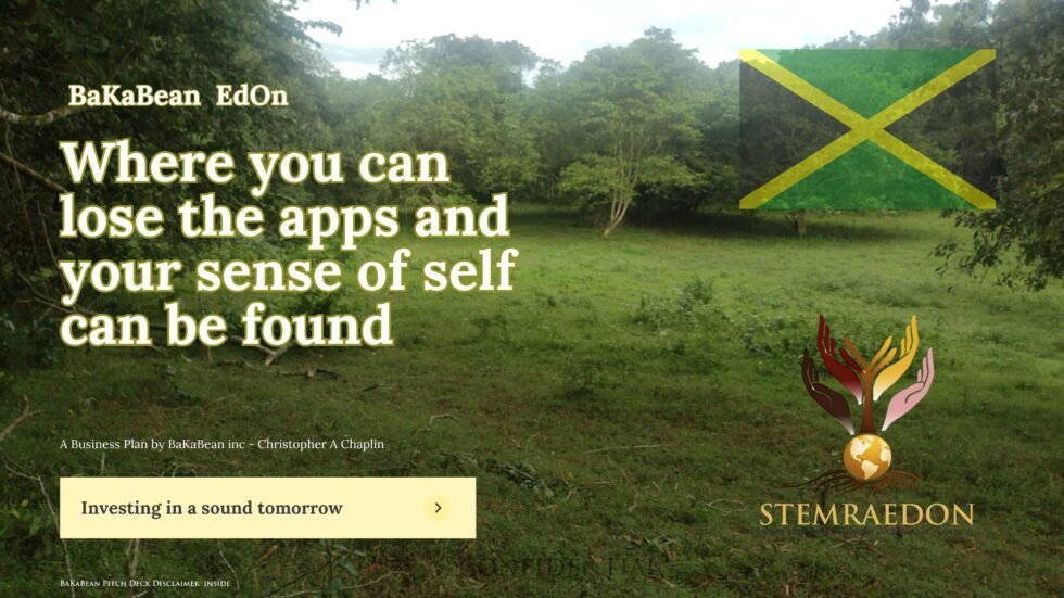 Exodus to the Caribbean: How Families to invest in Jamaica Stewardain Economies